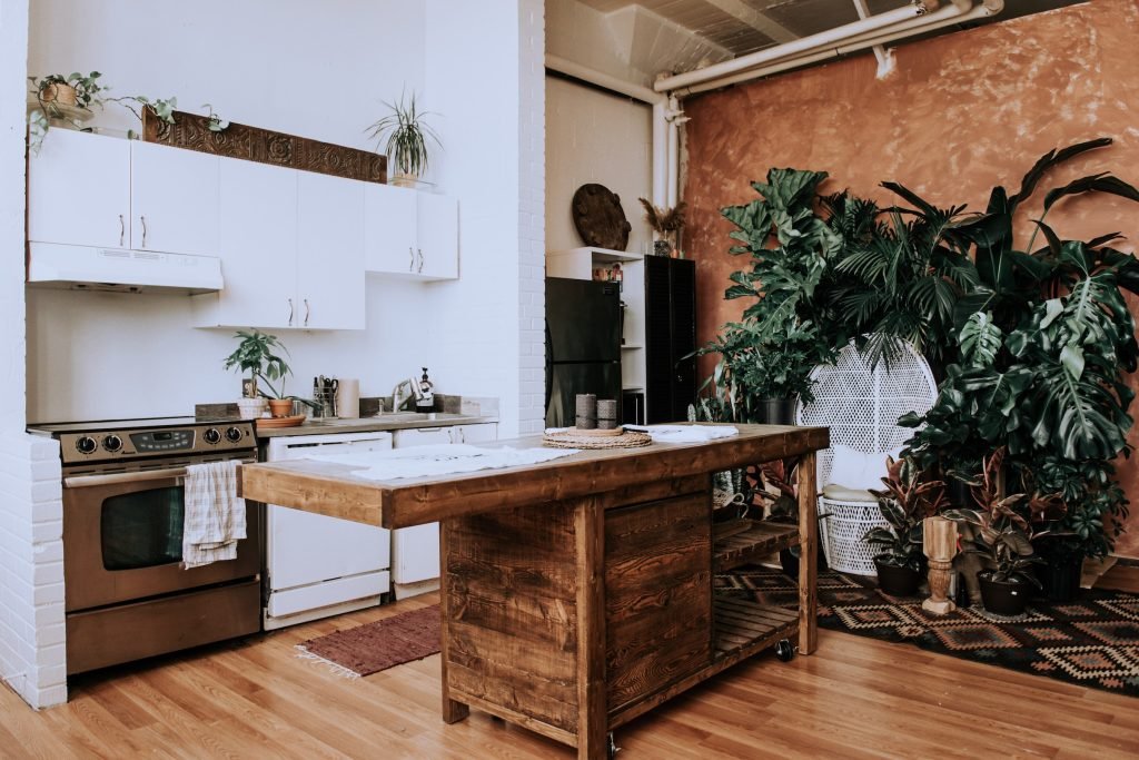 Kitchen Design beach house plants